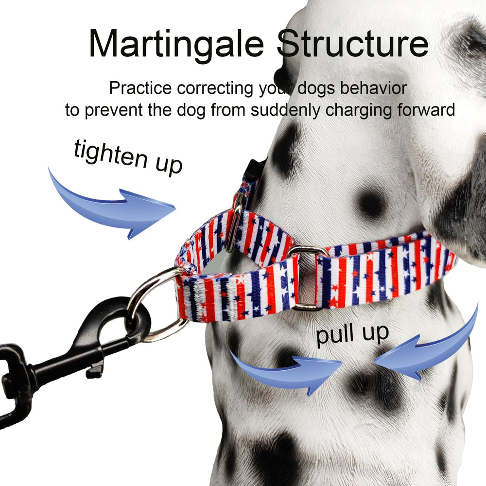 Fidohug American Flag Martingale Collar packaging shot for product unboxing.