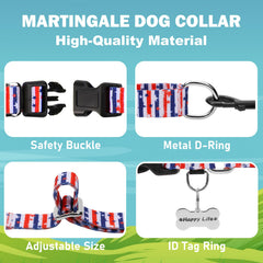 Fidohug American Flag Martingale Collar red blue stripes example for outdoor walks.