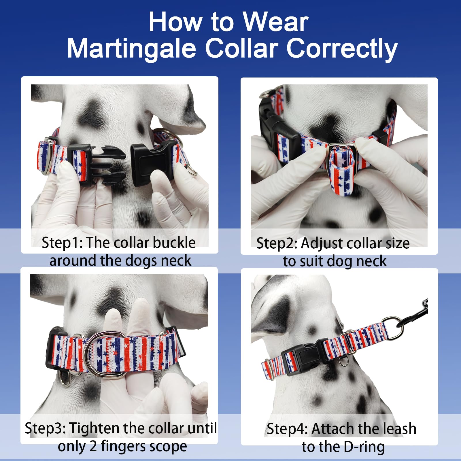 Fidohug American Flag Martingale Collar size chart visual guide for fit.
