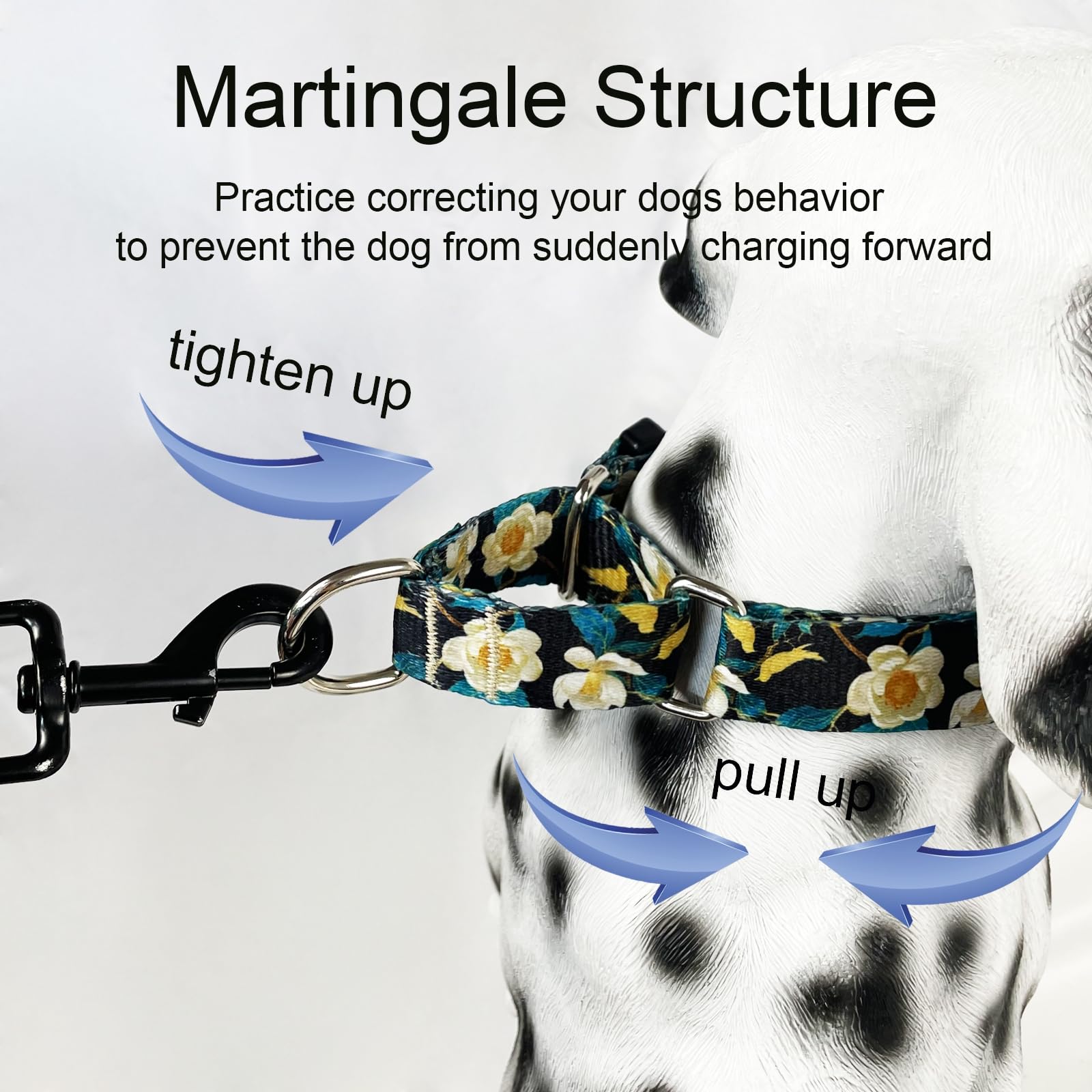 Fidohug escape-proof training-use collar during a walking session