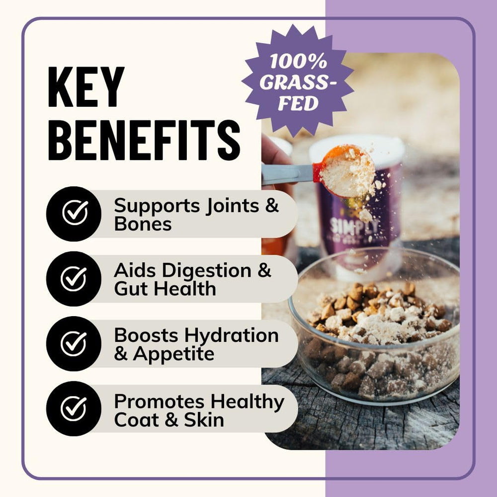Fido's bone broth serving scoop demonstrates easy daily dosing for dogs.