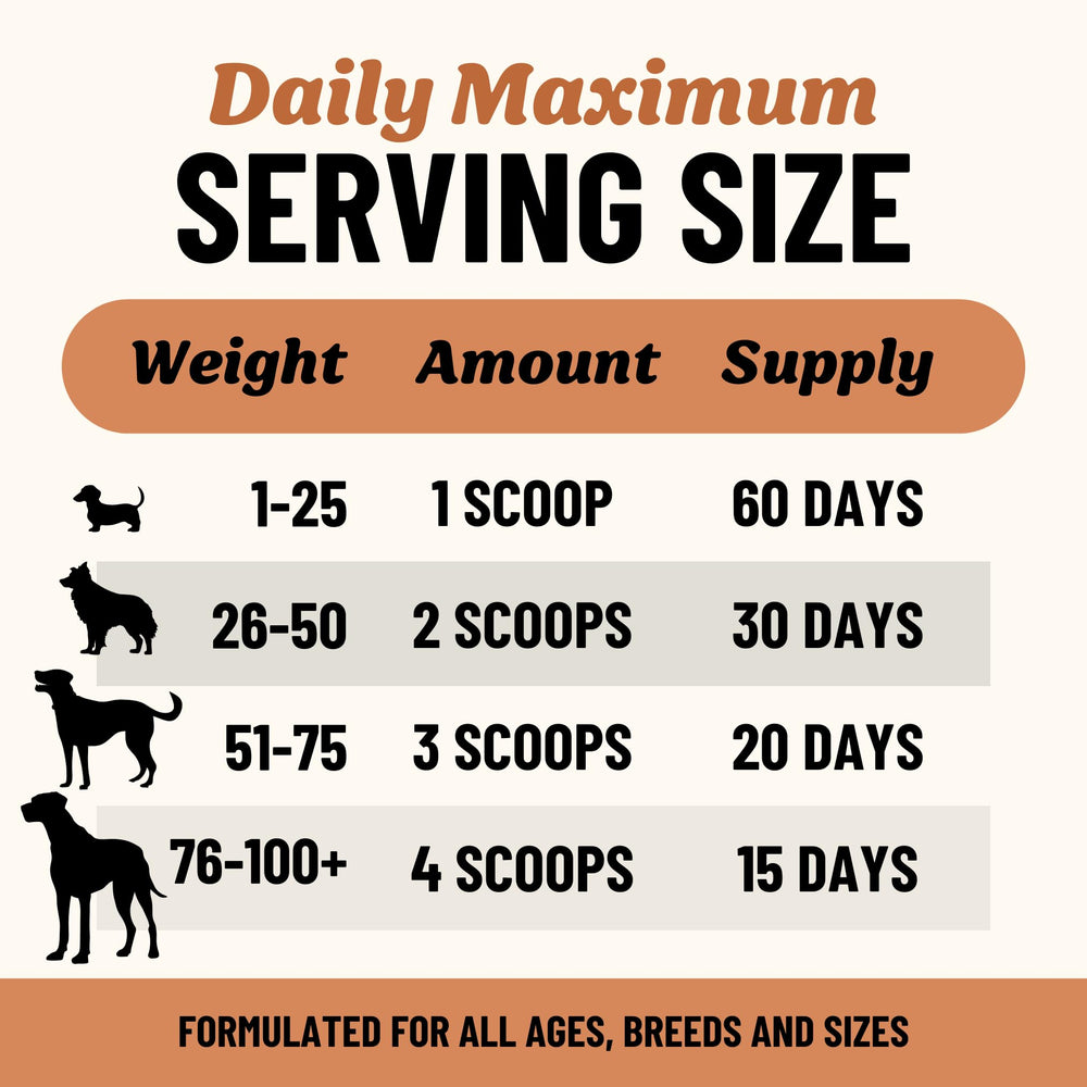 Fido's Longevity dog meal topper blended with dry food