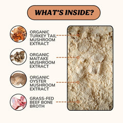 Fido's Longevity grass-fed beef bone broth powder in container