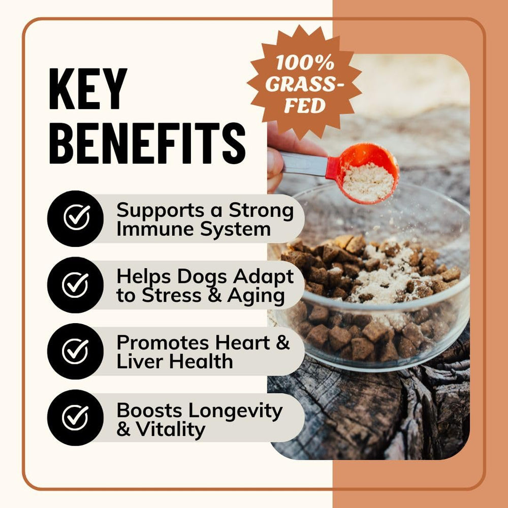 Fido's Longevity organic mushroom blend with turkey tail