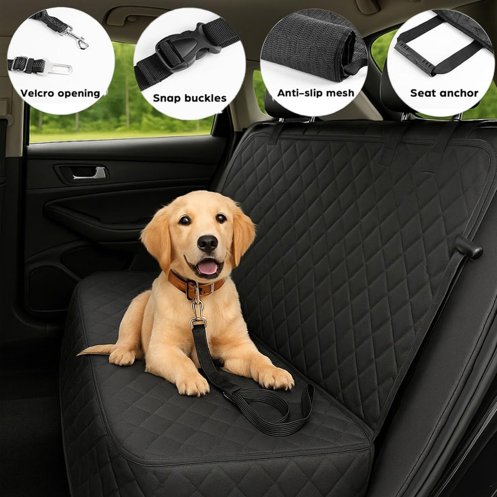 fidozen seat belt openings designed for child seats