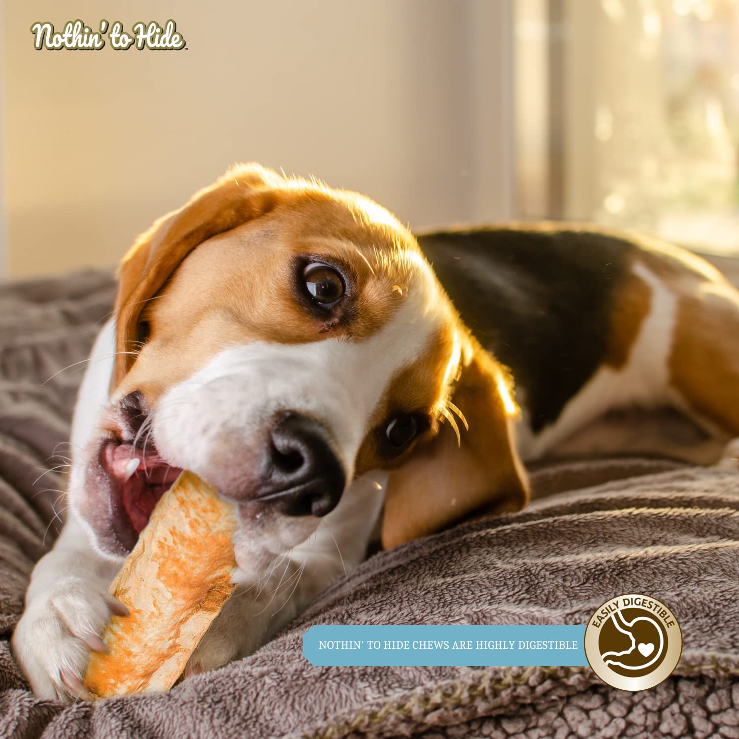Fieldcrest Farms Nothin to Hide Flip Chips Beef dog-activity image conveys treat time enjoyment.