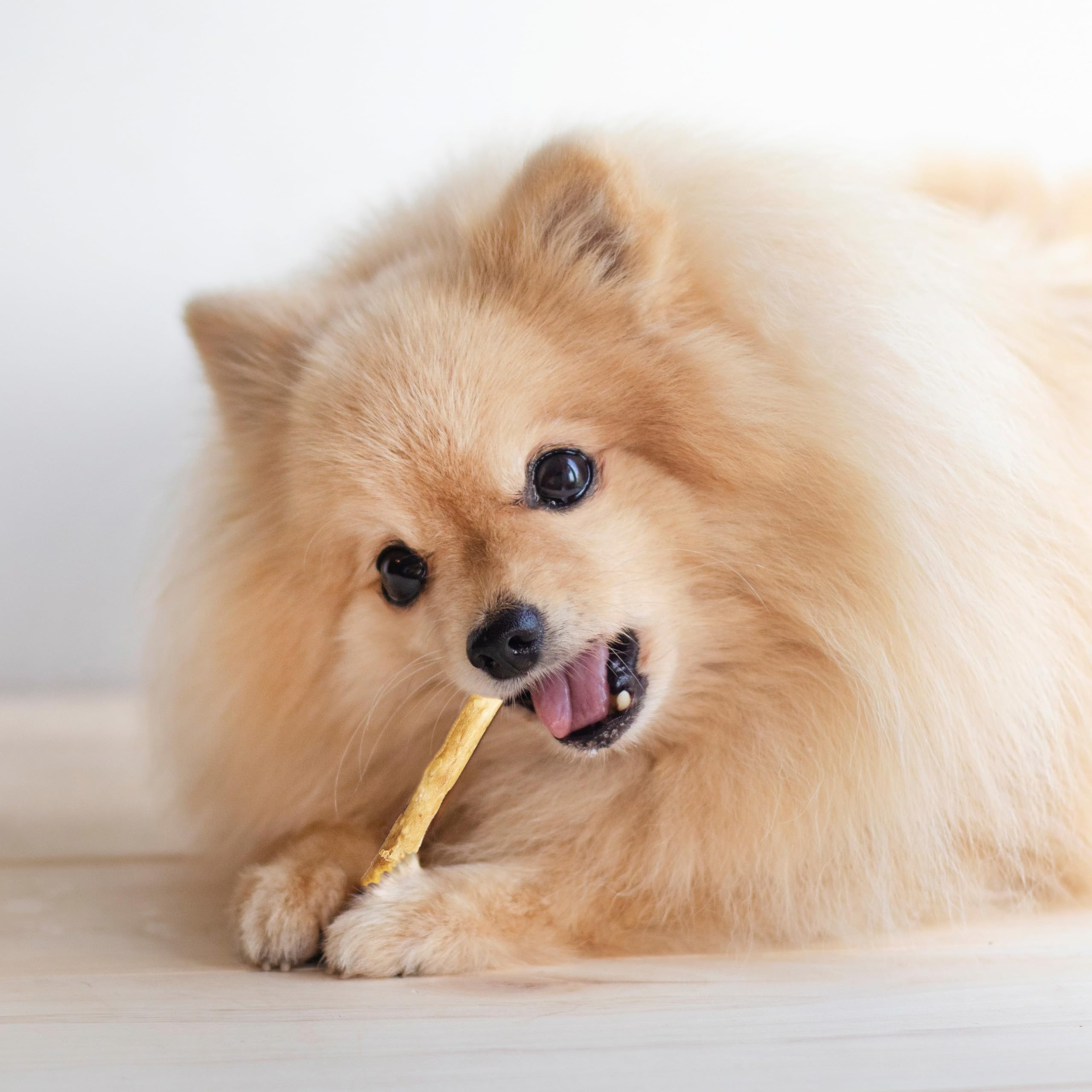 Fieldcrest Farms Nothin' to Hide Stix rawhide-free assurance closeup.