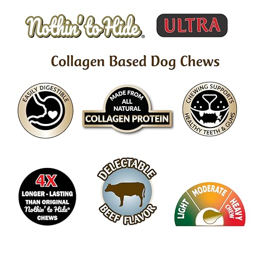 Dog chews Ultra Knotted Bone during play, highlighting entertaining, beef-flavored chew.