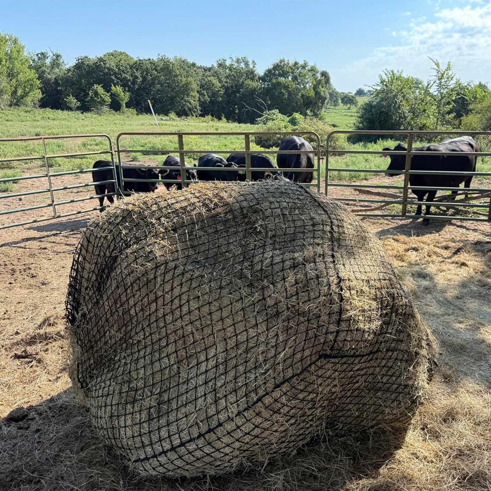 Fifatopo easy-install-carry round-net shows quick deployment on farms.