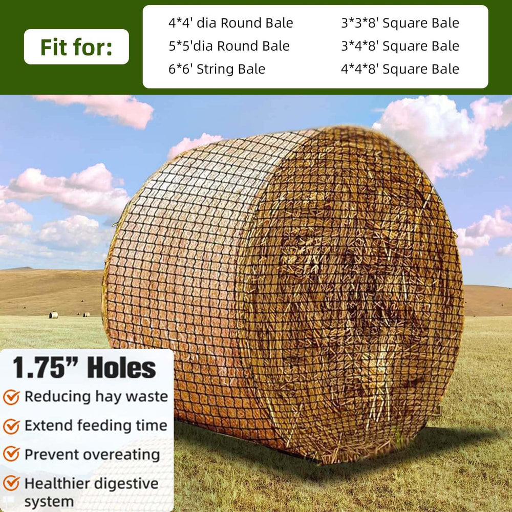 Fifatopo livestock-feeding-scene hay net in pasture demonstrates efficient feeding.
