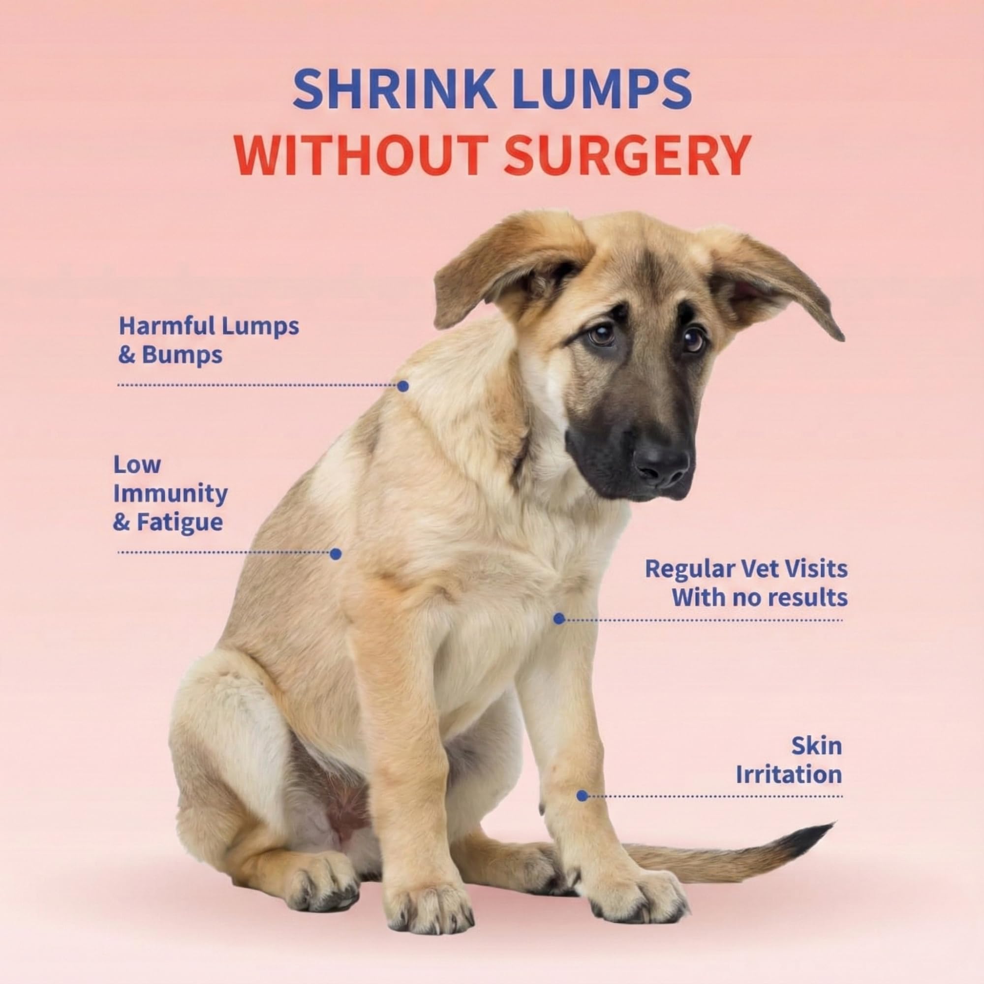 USA-made GMP facility signals quality control for your dog's supplement.