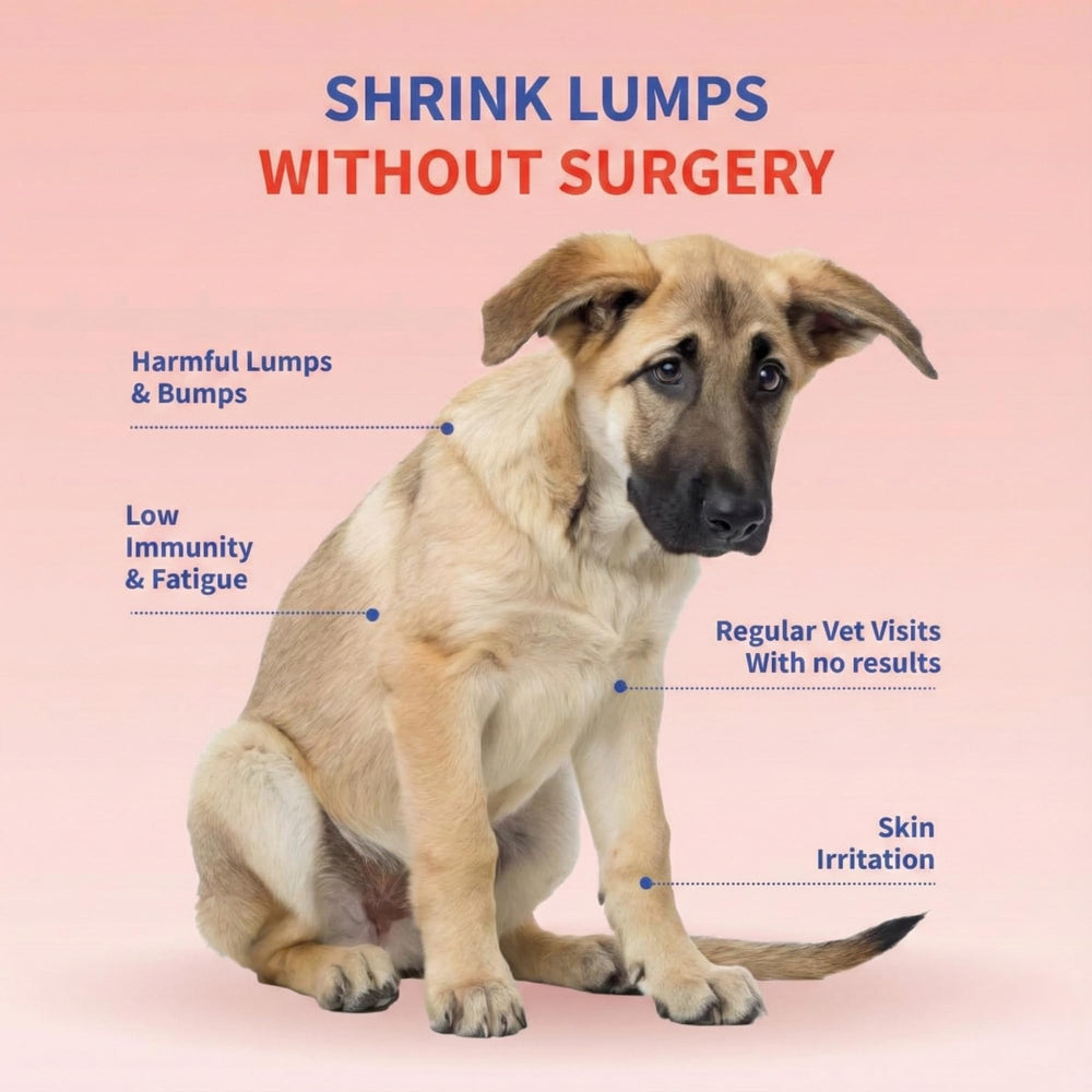 USA-made GMP facility signals quality control for your dog's supplement.