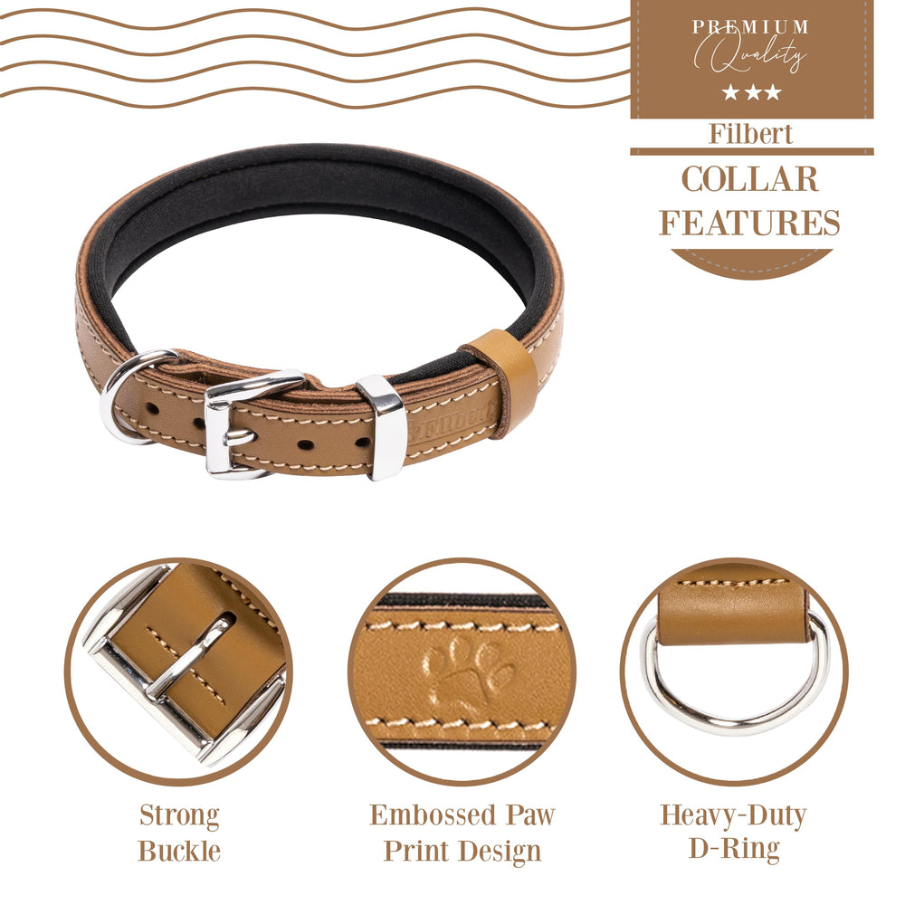 Filbert six-size range visual guide showing adjustable fit for different neck sizes.
