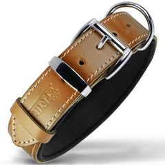 Filbert camel leather dog collar front view with pawprint embossing for durable daily wear.
