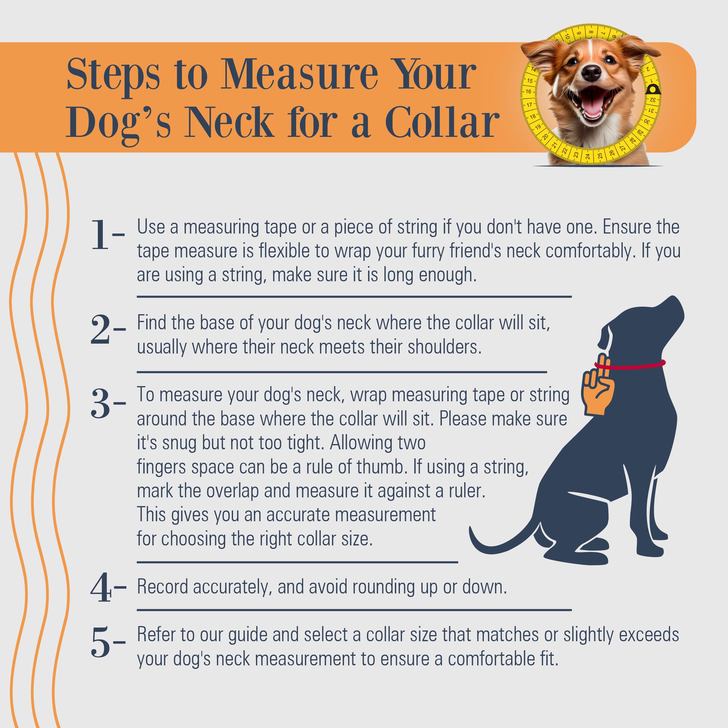 Filbert camel leather dog collar, easy to wipe and maintain with almond oil.