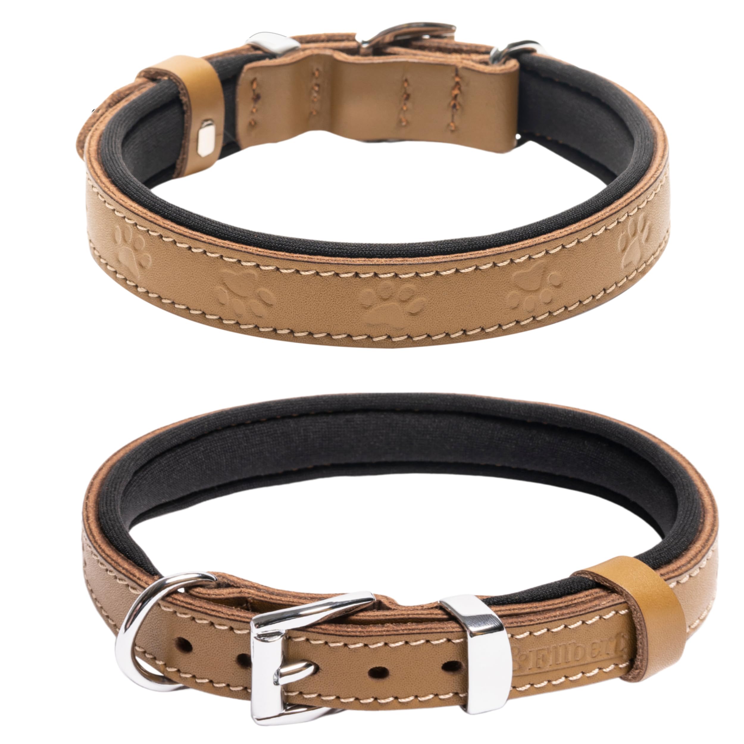 Filbert pawprint-embossed collar side view shows sturdy buckle and corrosion-resistant hardware.