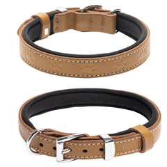 Filbert pawprint-embossed collar side view shows sturdy buckle and corrosion-resistant hardware.