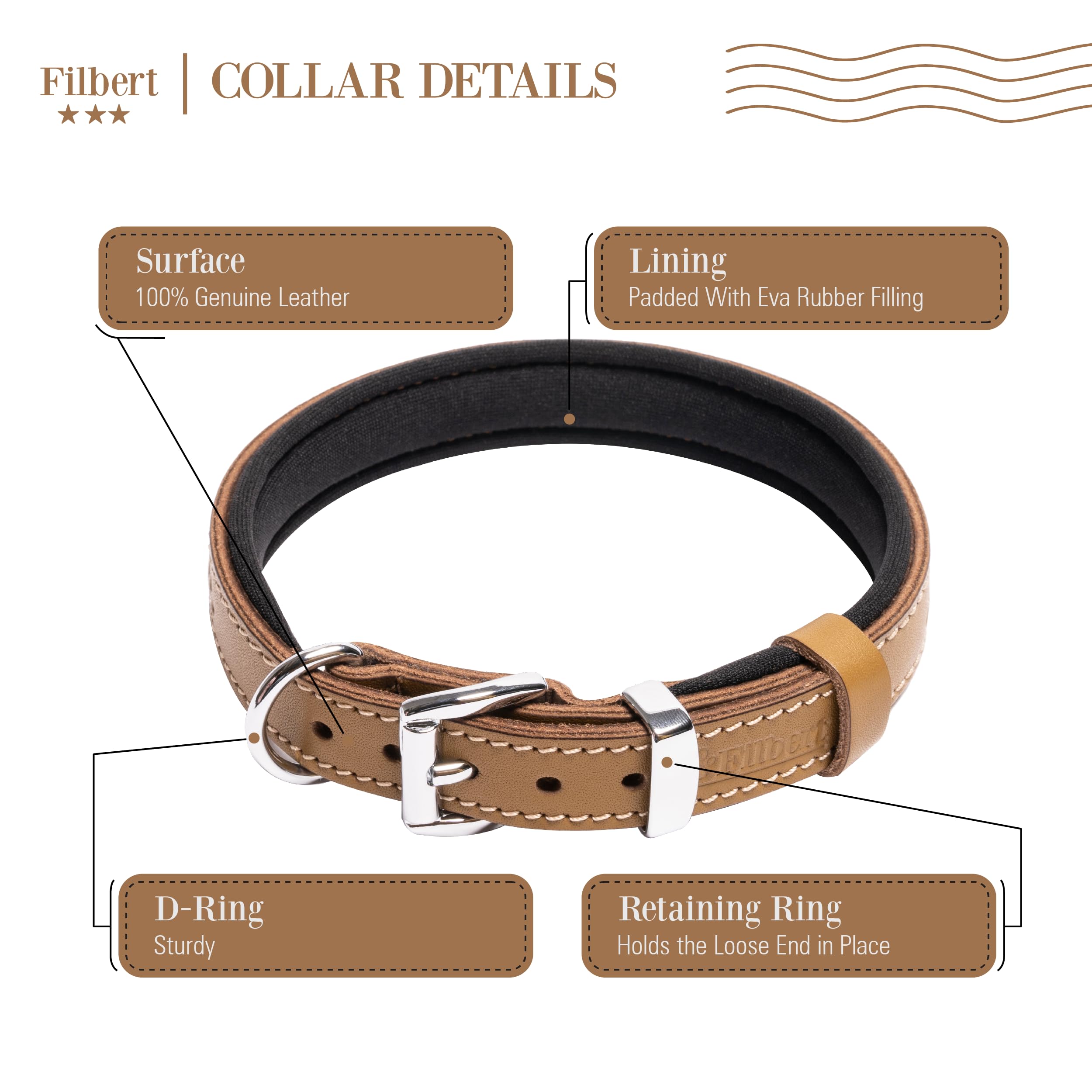 Filbert strong D-Ring collar with heavy buckle demonstrates reliable strength for large dogs.