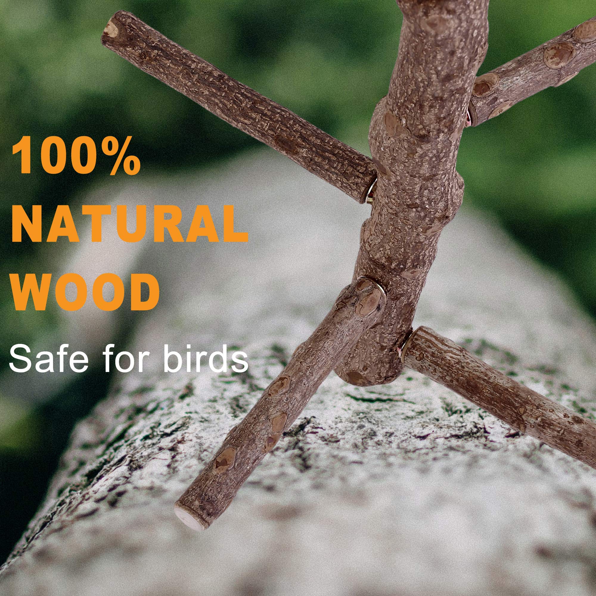 Filhome natural wood perch highlights 13.8-inch length for cage compatibility