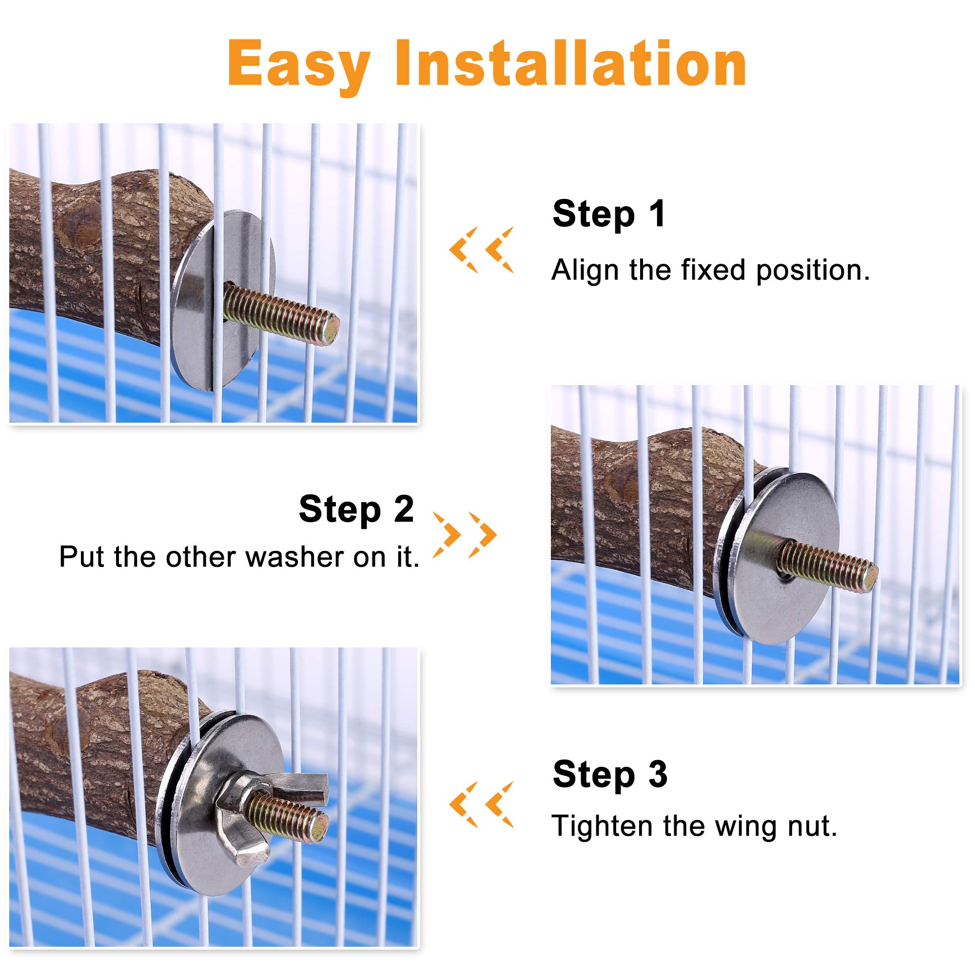 Filhome cage perch supports multiple birds for interactive play