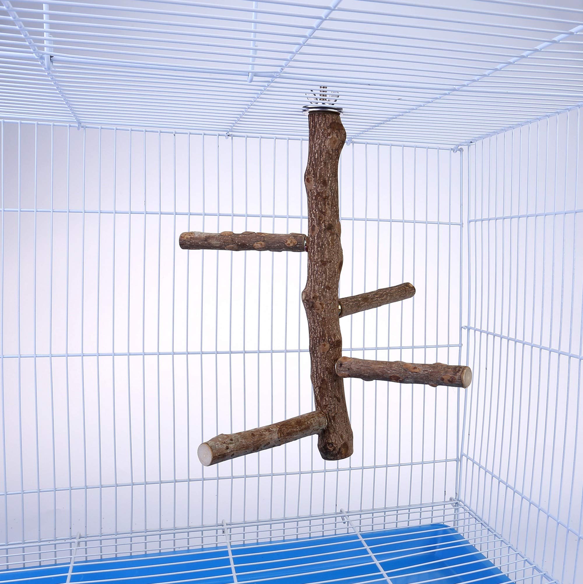 Filhome natural ash wood texture shown for safe chewing and foot exercise