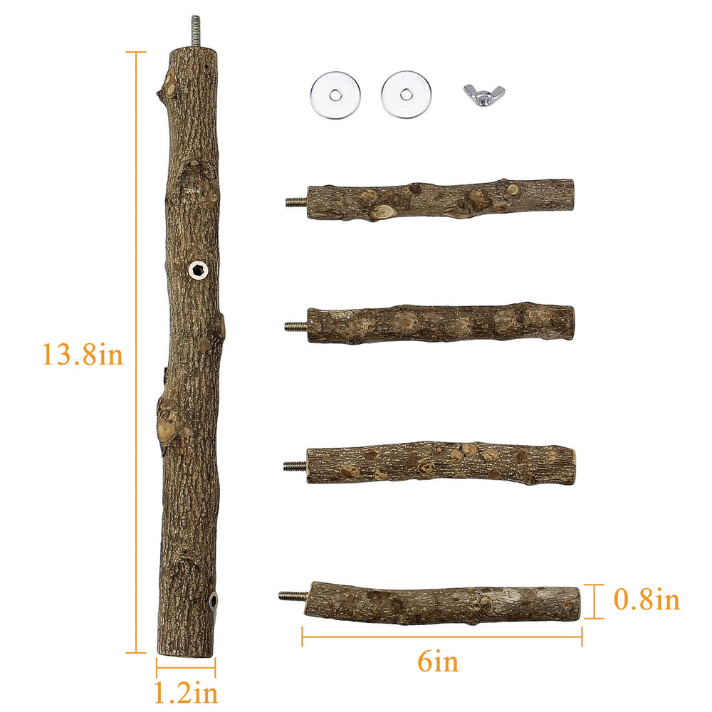 Filhome parrot perch wood closeup grip highlights natural texture for secure perching