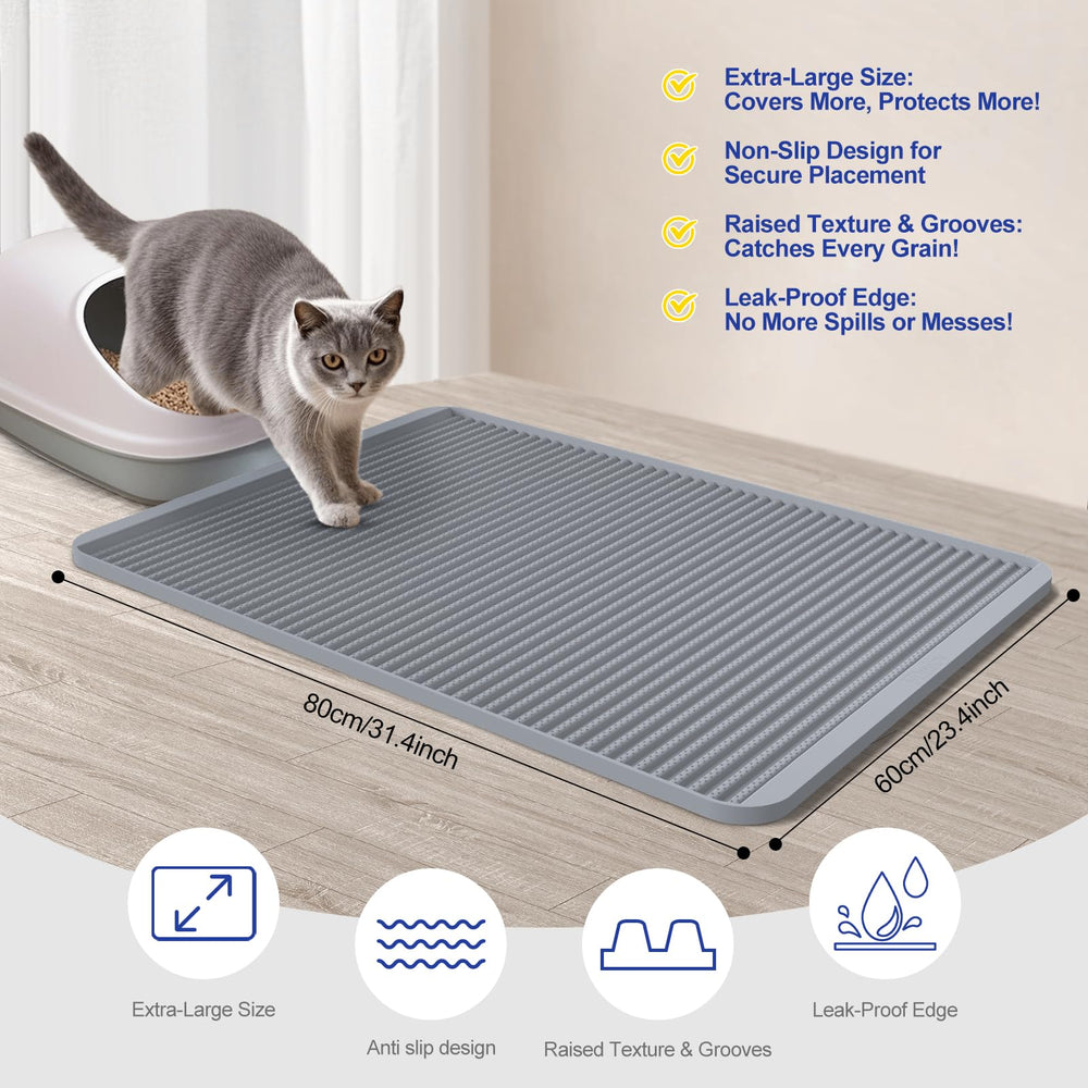 Filmicy BPA-free material ensures safe, durable daily use.