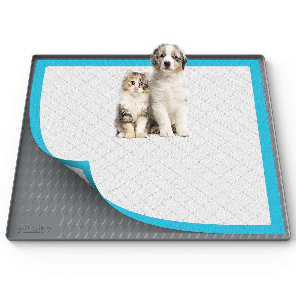 Filmicy Pee Pad Holder 34x28 setup keeps pads secure during training