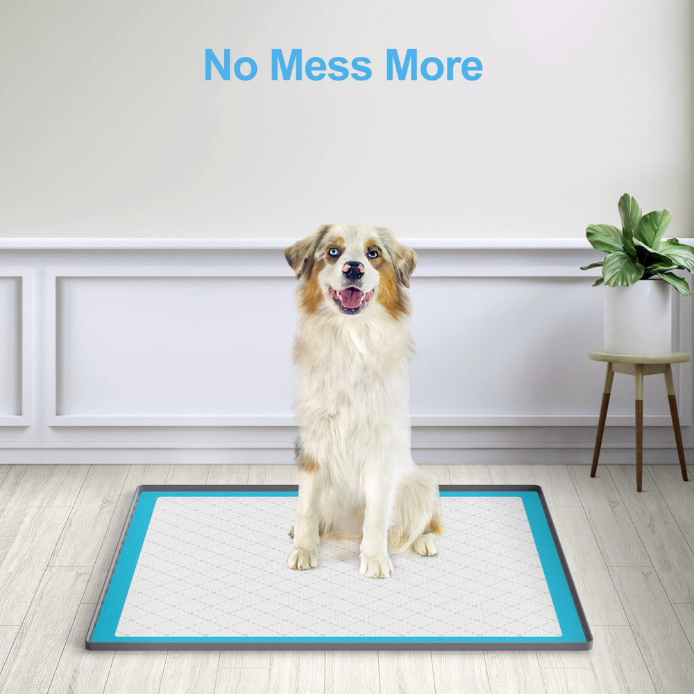 Filmicy Pee Pad Holder easy-clean silicone stays hygienic and odor-free