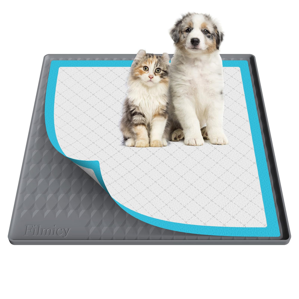 Filmicy Pee Pad Holder front view demonstrates 24x24 size with raised lip for leak protection.