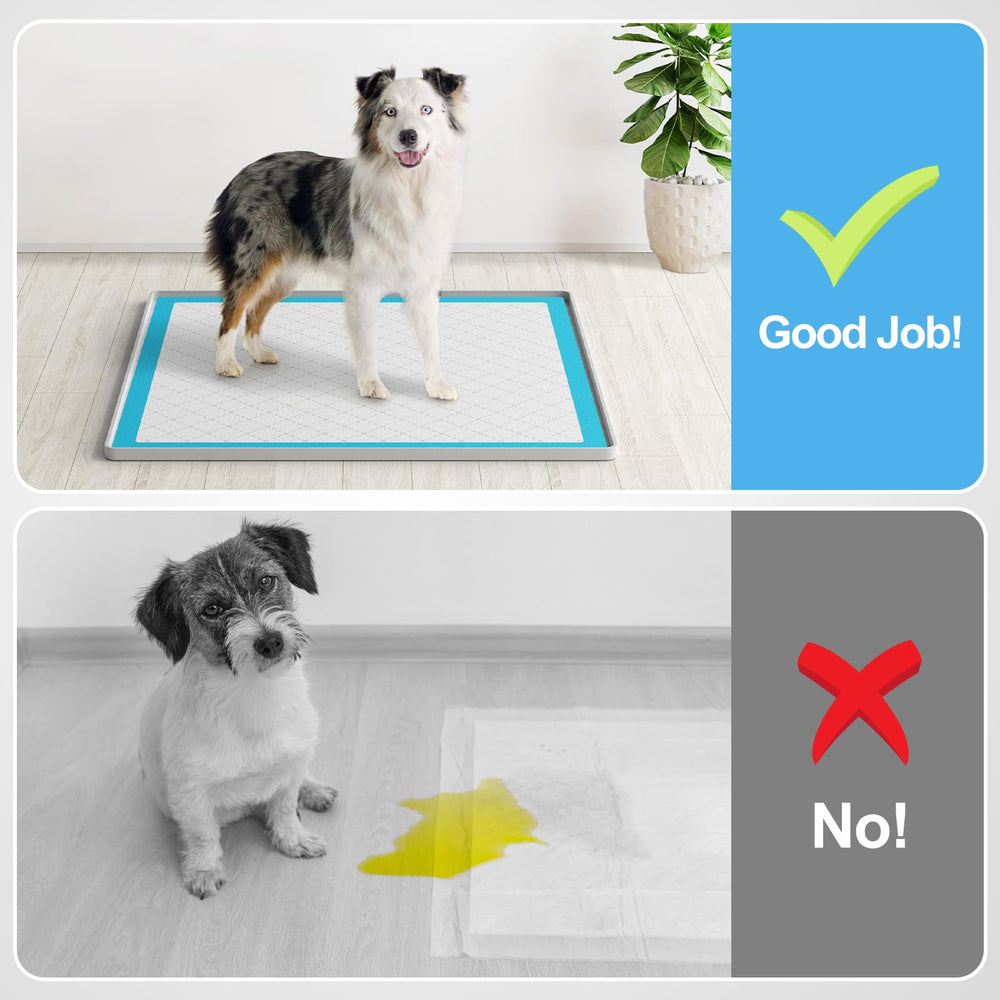 Filmicy silicone dog pad holder is easy to clean with water for daily use.