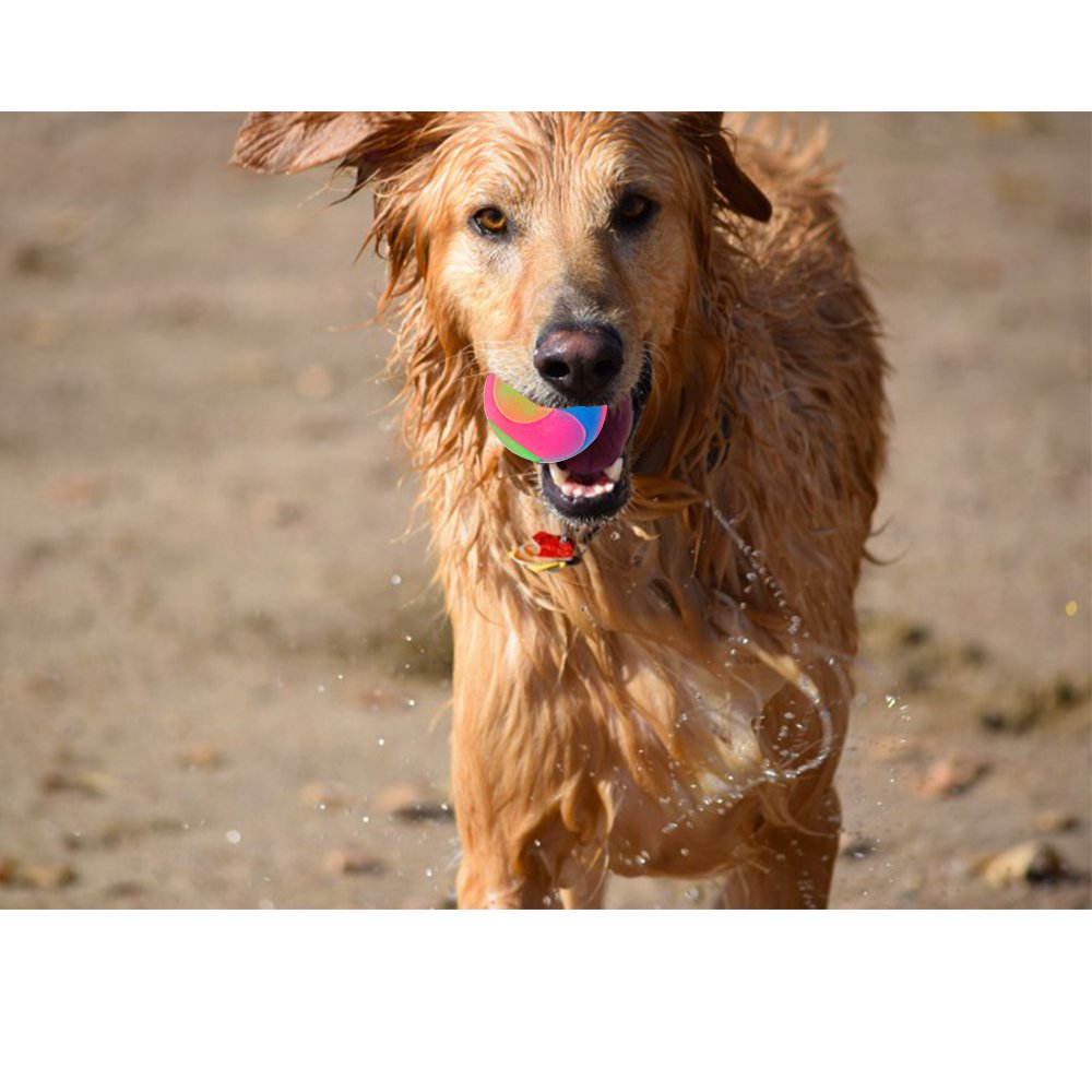 FineInno dog-ball night-play flashing action improves visibility during dusk
