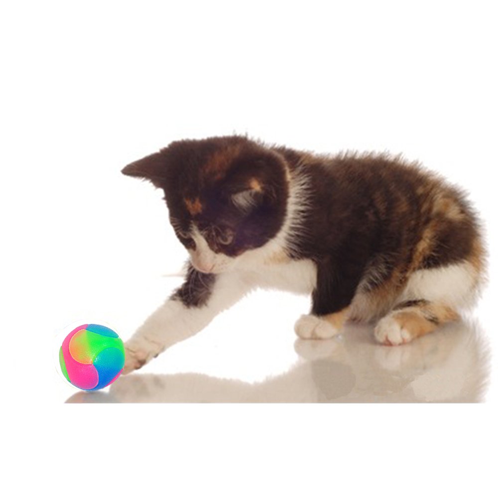 FineInno dog-ball playing in yard highlights bounce and vibrant color