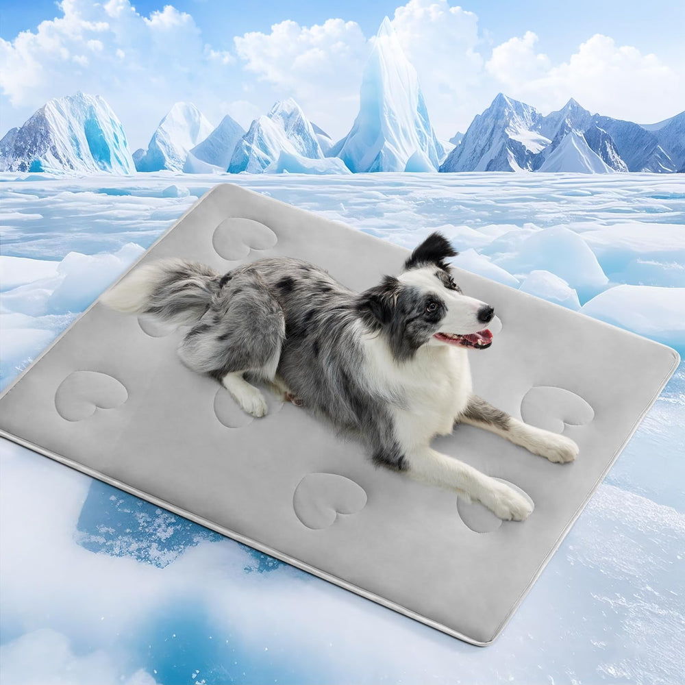 FineMay cozy dog blanket with non-slip surface suitable for couches and beds.