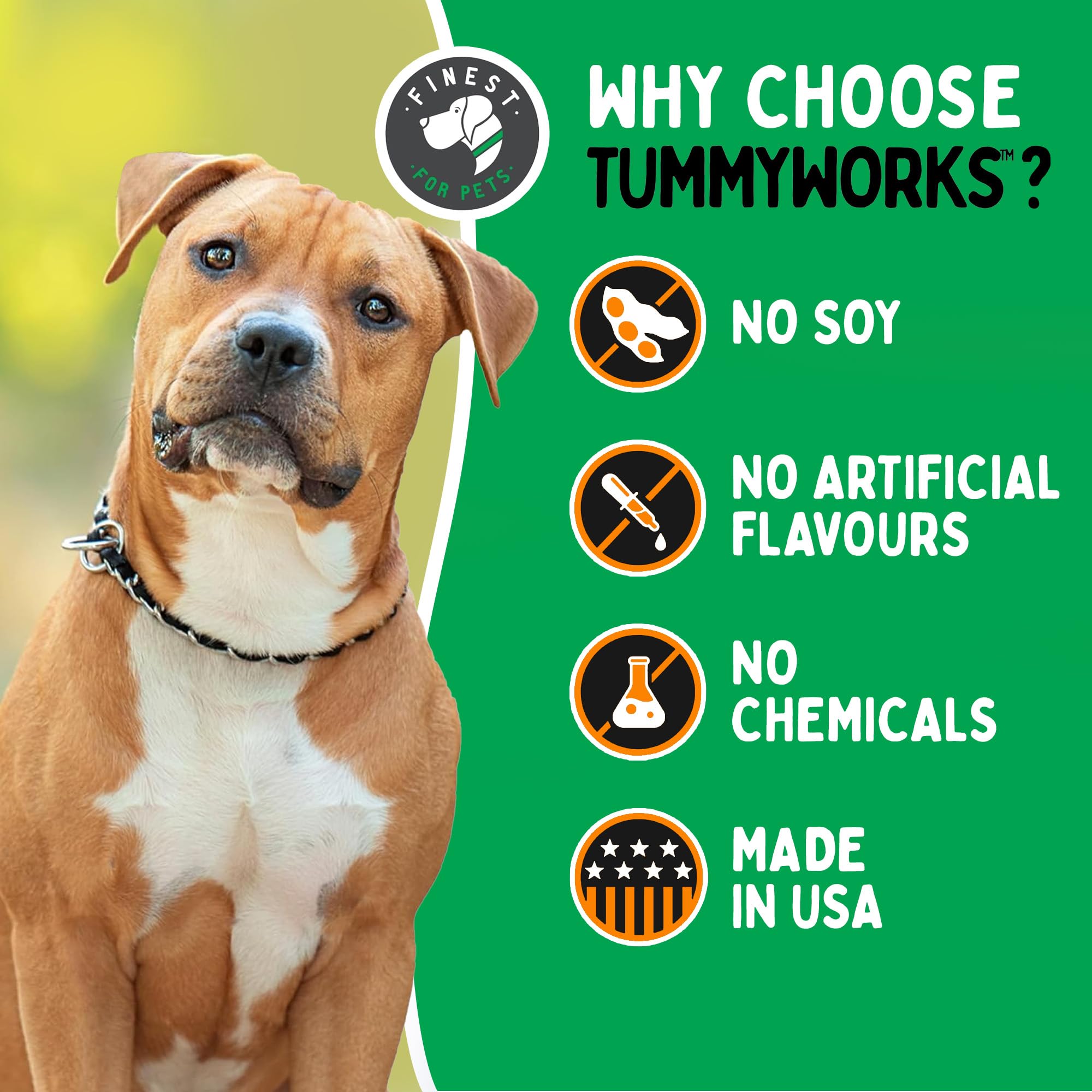 Finest For Pets TummyWorks dog eating chew demonstrates convenient daily routine.