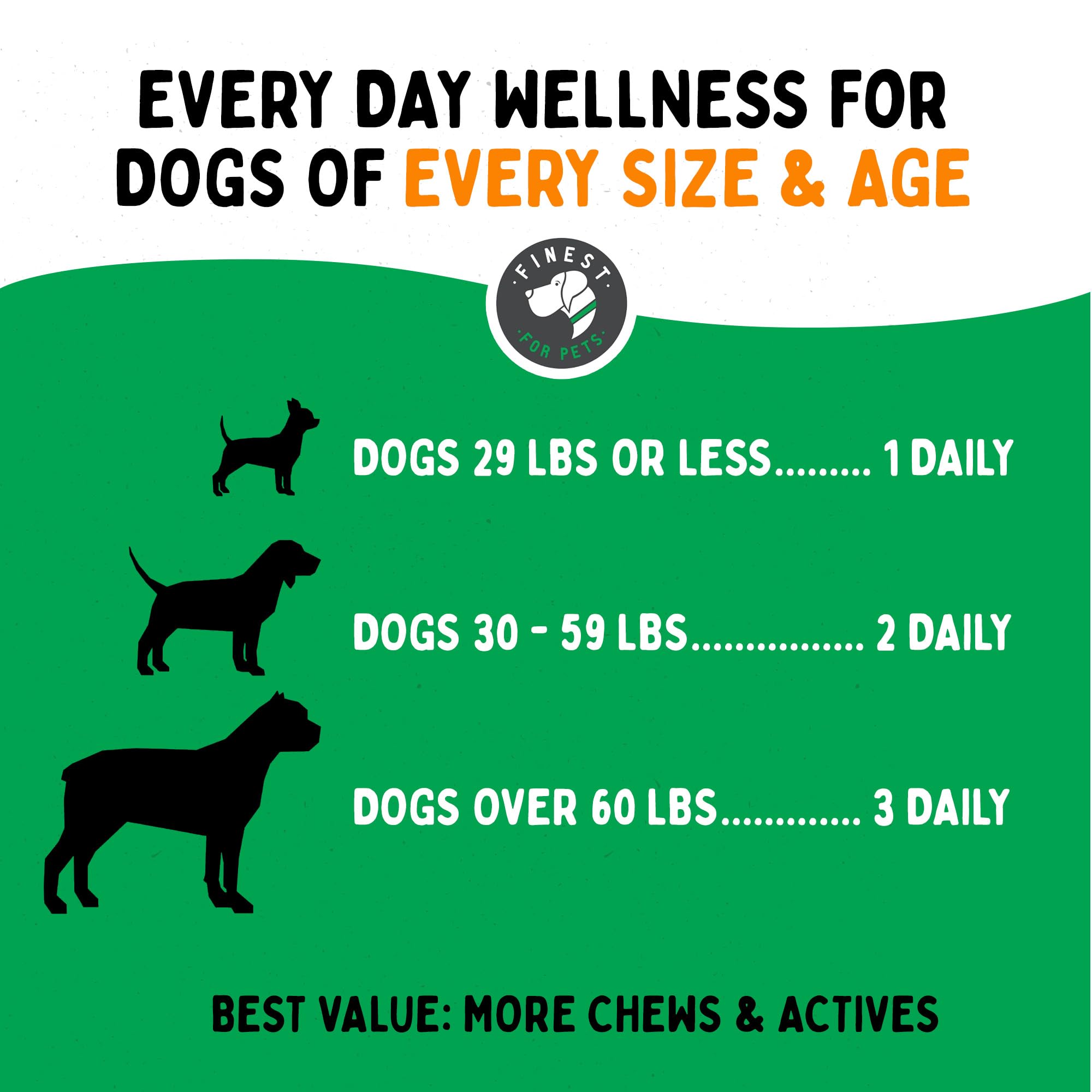Finest For Pets TummyWorks dog on hike with improved digestive balance.
