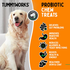 Finest For Pets TummyWorks soft chews closeup shows tasty chicken flavor for easy dosing.