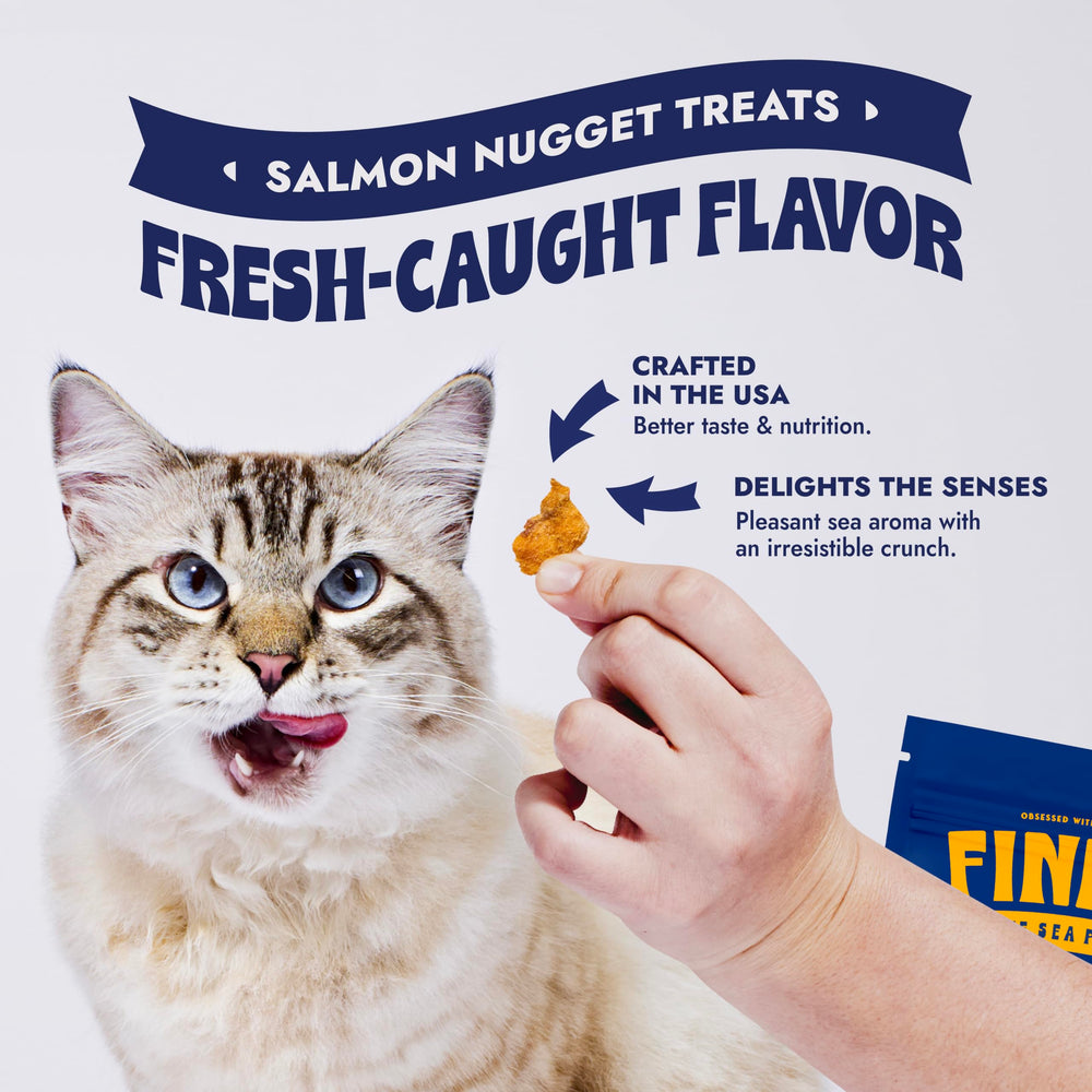 Finfare aroma closeup – cold-smoked flavor scent invites cats to sniff and explore.