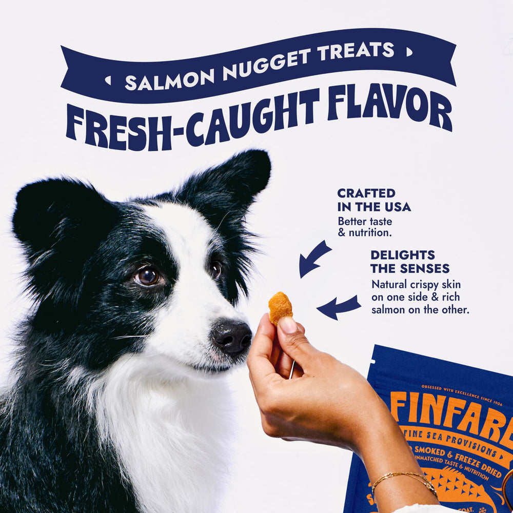 Finfare training-use image, demonstrating easy-to-feed nuggets for daily rewards.