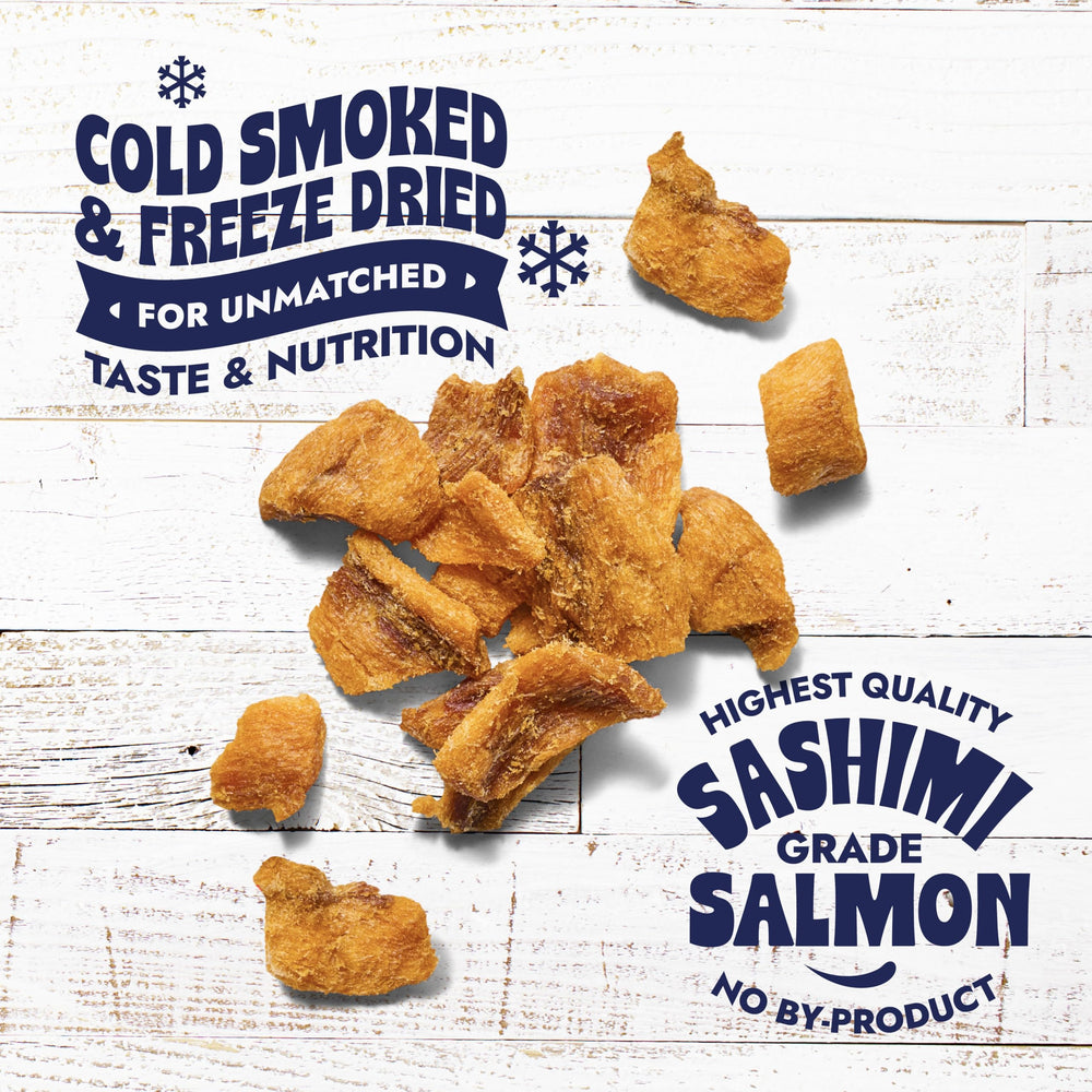 Finfare freeze-dried salmon nuggets texture closeup – crisp bite ideal for rewarding cats.