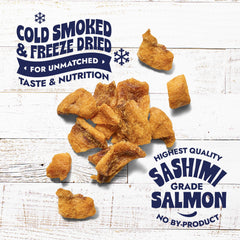 Finfare freeze-dried salmon nuggets texture closeup – crisp bite ideal for rewarding cats.