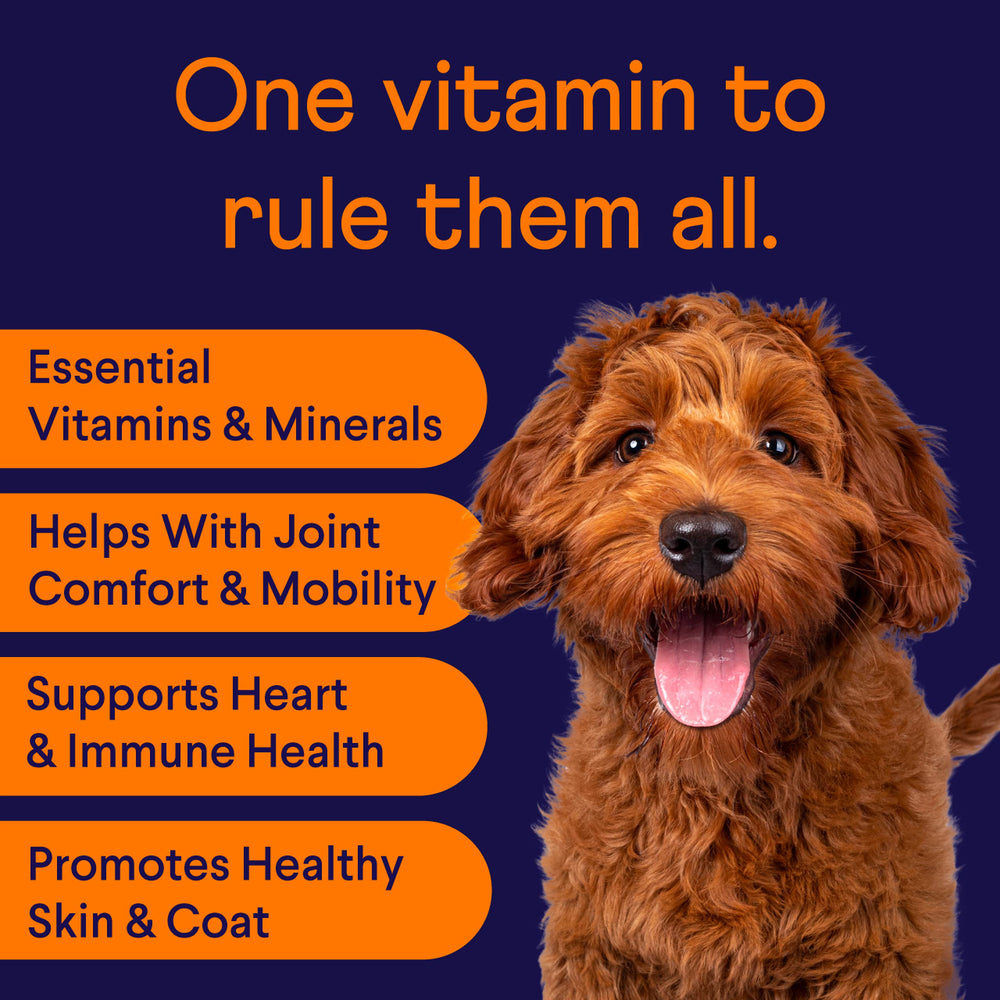 Finn All-in-1 Multivitamin soft chews close-up highlighting bacon-cheese flavor