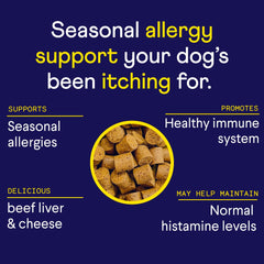 Finn Allergy & Itch soft chews closeup shows savory beef liver flavor for daily use.