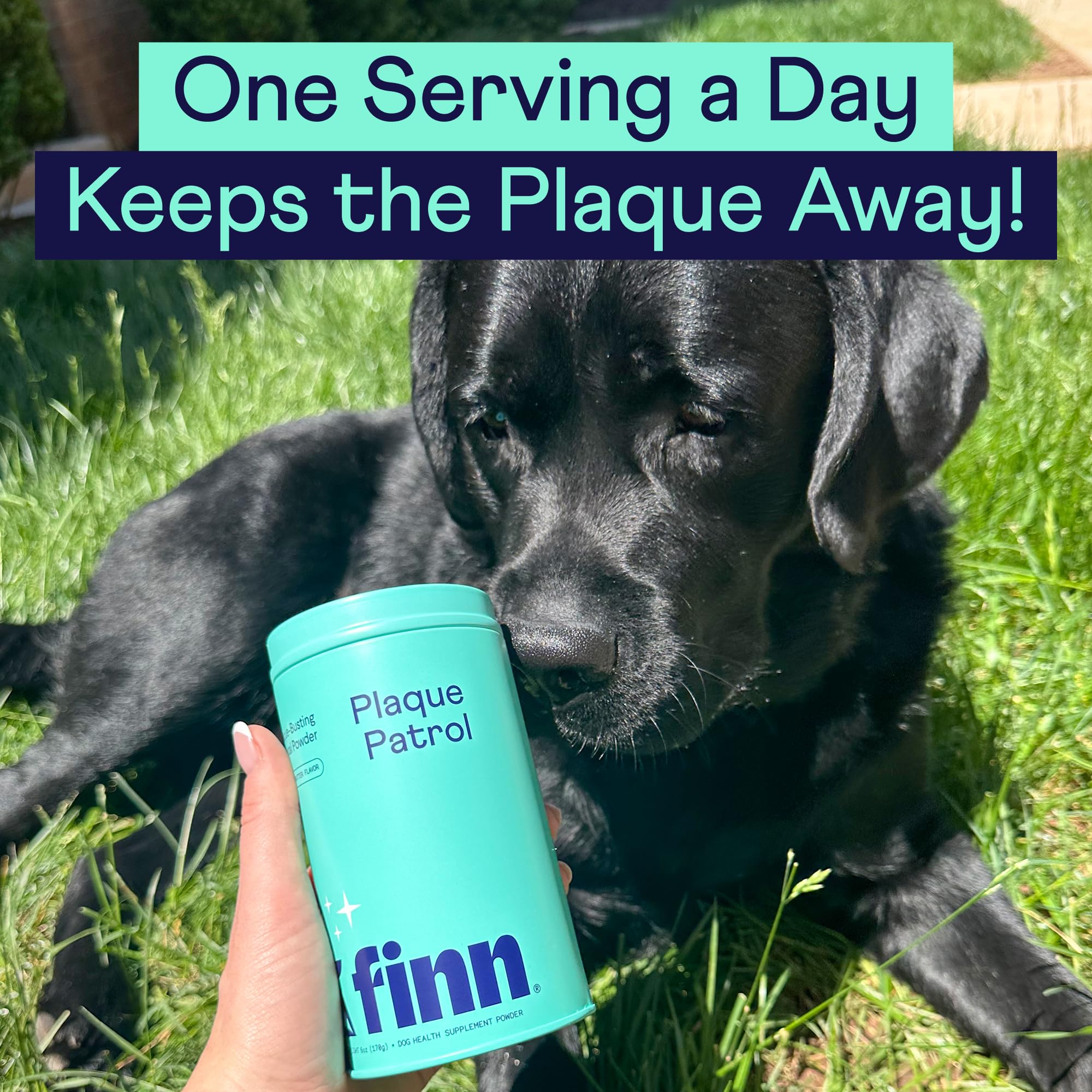 Finn Dental Powder for Dogs fresh-breath scene emphasizes breath-freshening benefits after meals.