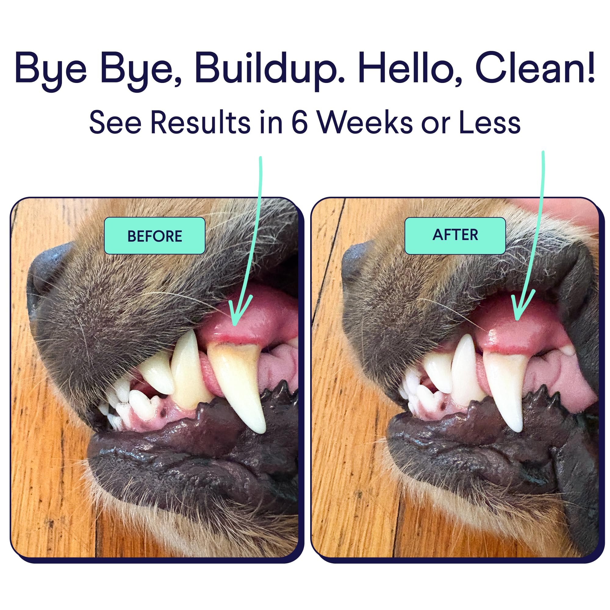 Finn Dental Powder for Dogs pouring shows quick mixing with meals for cleaner mouths.