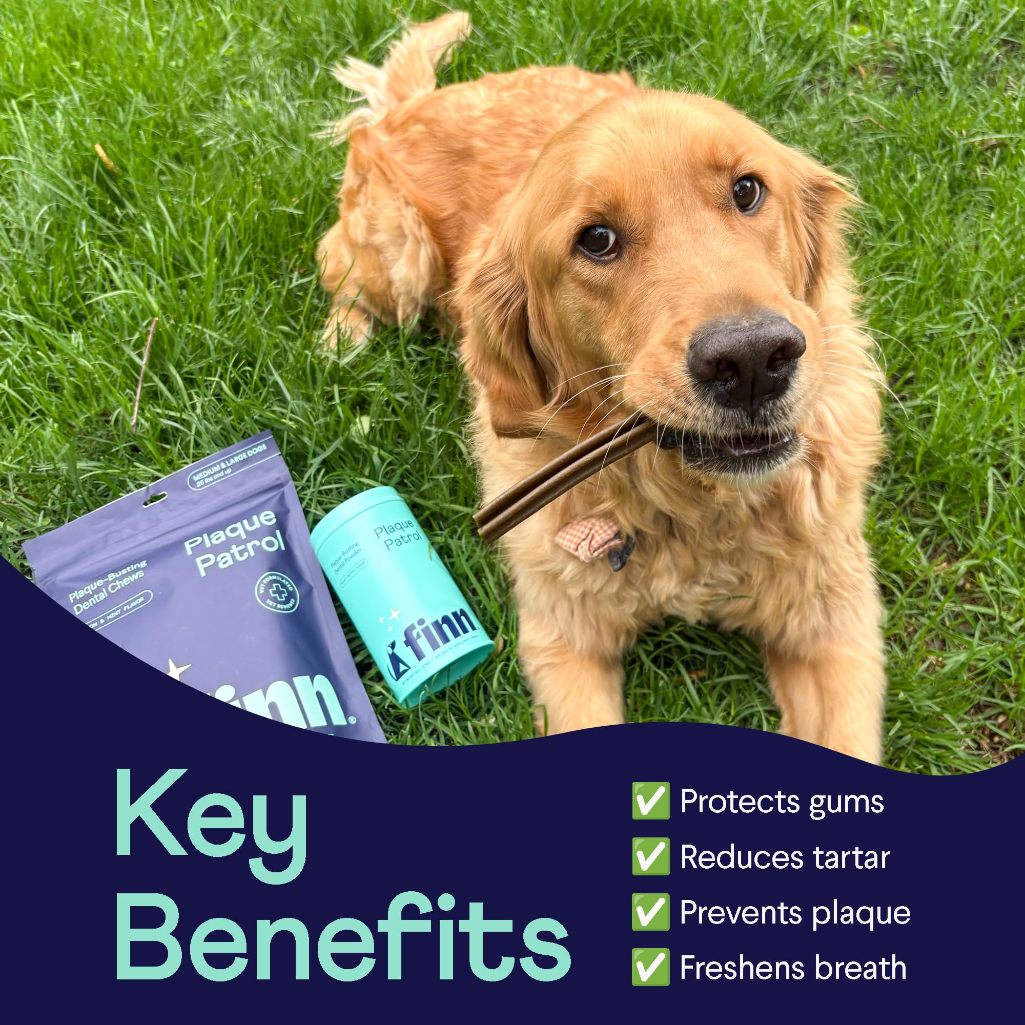 Finn Dental Powder for Dogs scoop illustrates simple measured doses to target plaque and tartar.