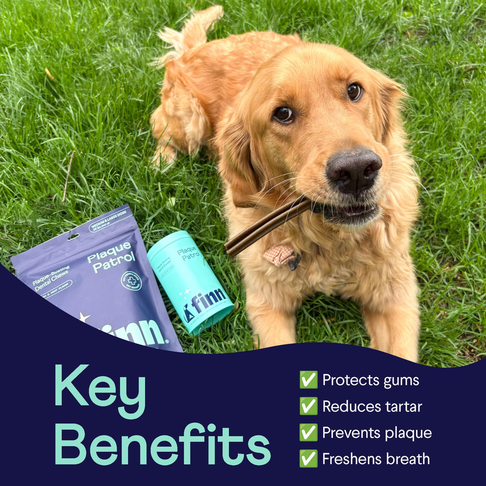 Finn Dental Powder for Dogs scoop illustrates simple measured doses to target plaque and tartar.