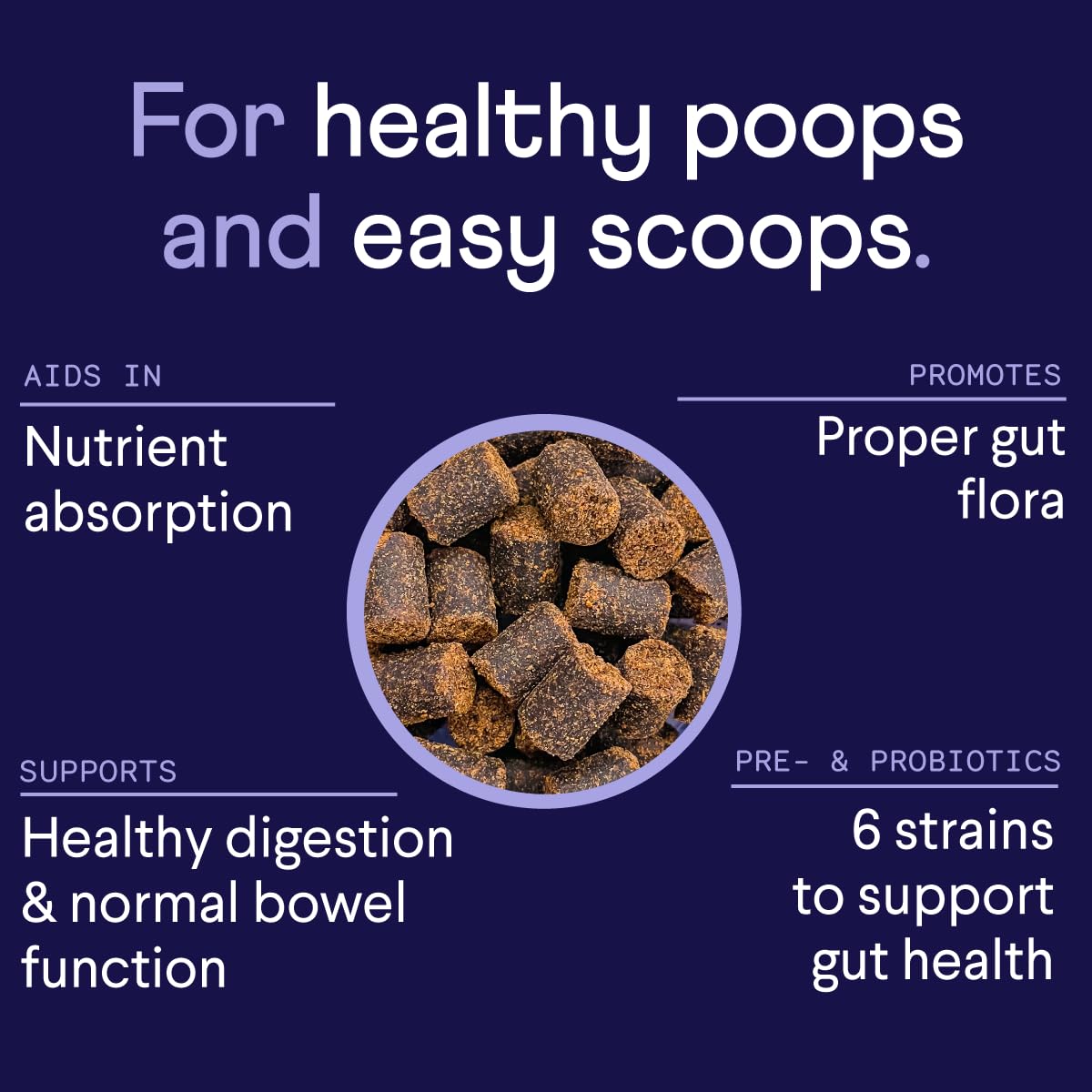 Finn Digestive Probiotics dog chews served, showing easy daily dose for gut balance.