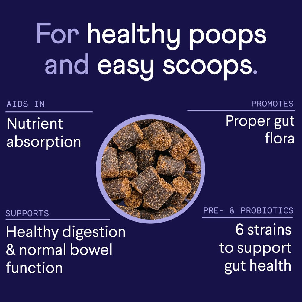 Finn Digestive Probiotics dog chews served, showing easy daily dose for gut balance.