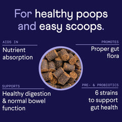 Finn Digestive Probiotics dog chews served, showing easy daily dose for gut balance.
